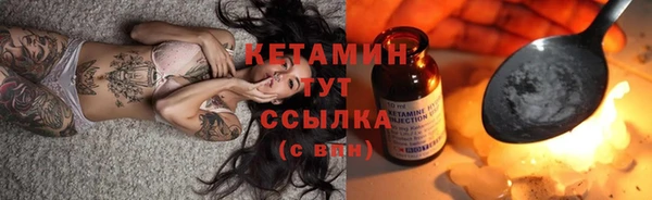 стафф Щигры