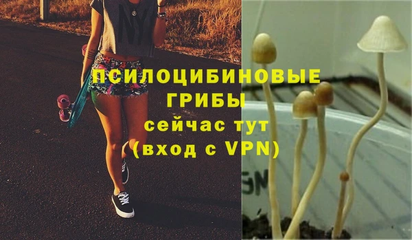 скорость mdpv Кинешма