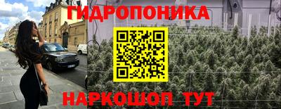 дурь Гусев