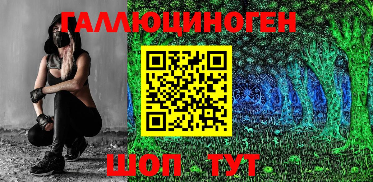 Галлюциногенные грибы Psilocybe  Вход с VPN  Кисловодск 