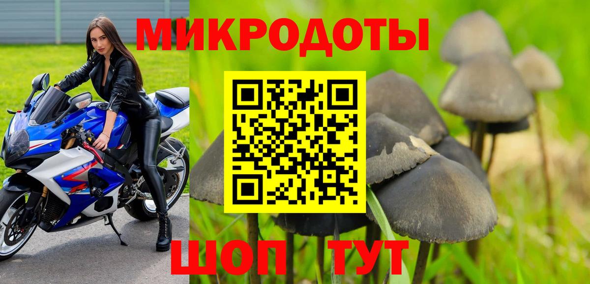 Псилоцибиновые грибы Magic Shrooms Кисловодск