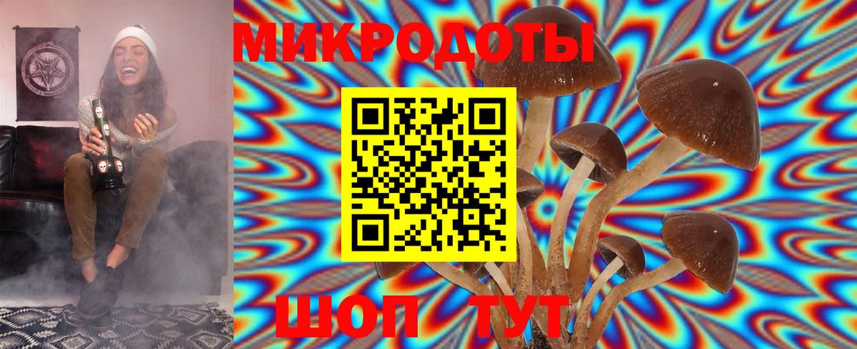 Галлюциногенные грибы GOLDEN TEACHER Кисловодск